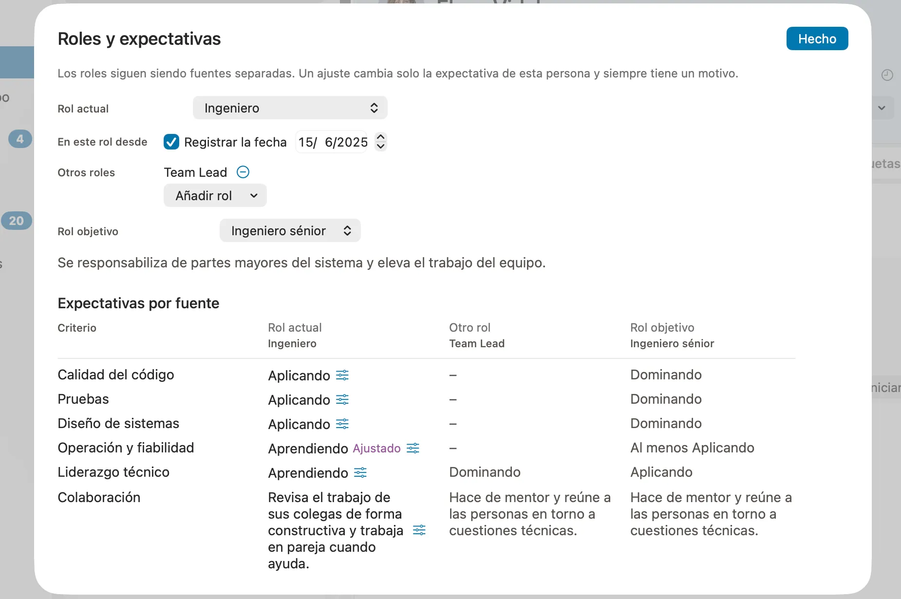 La configuración de roles de una persona en Peoplelane: rol actual, un rol adicional, un rol objetivo y una expectativa ajustada con su motivo.